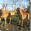 IL PARCO DI 6.000 MQ NON E' SUFFICIENTE!!